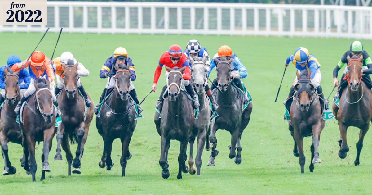‘That track is amazing’: Randwick the perfect stage for equine stars