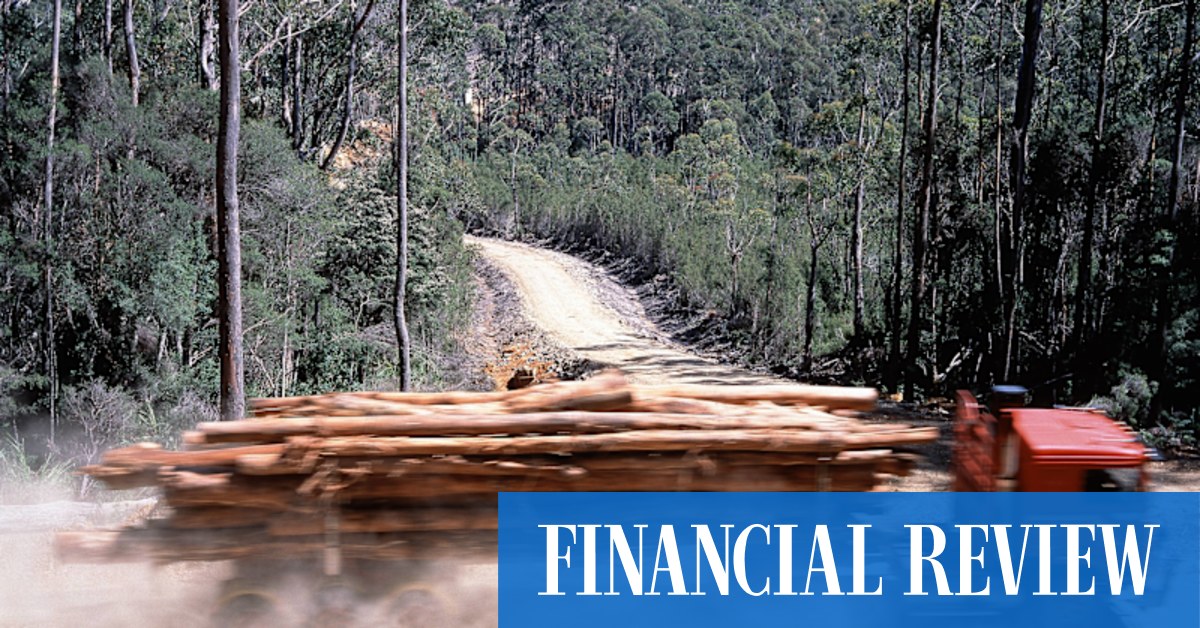 UniSuper buys former Gunns timber plantation in Tasmania - Vimarsana News