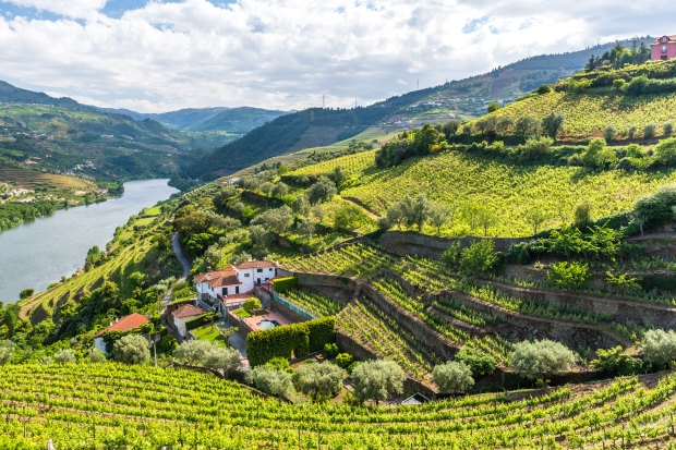 Portugal’s Douro River - the cruise destination of the moment.