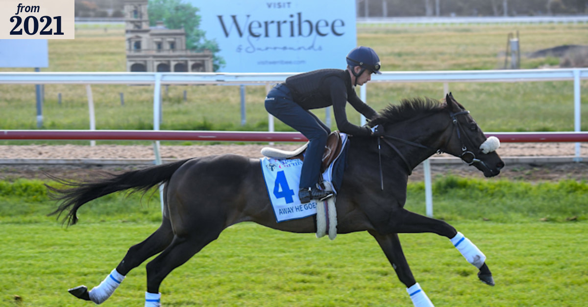 Cup week runs fatality-free, but safety measures to be reviewed