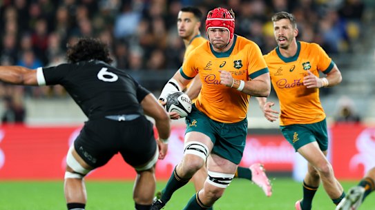 Harry Wilson, in Wallabies captain stride last September against New Zealand.