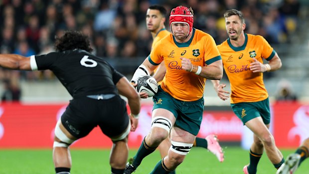 Harry Wilson, in Wallabies captain stride last September against New Zealand.