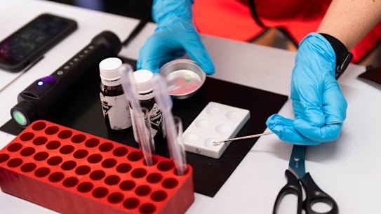 Queensland’s pill testing sites closed in April. A report evaluating their efficacy was completed last week, but the LNP won’t say if it will be made public.