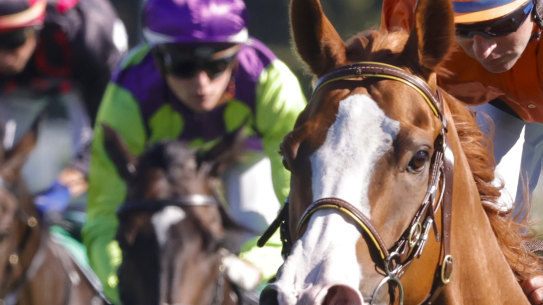 Racing returns to Port Macquarie on Sunday.