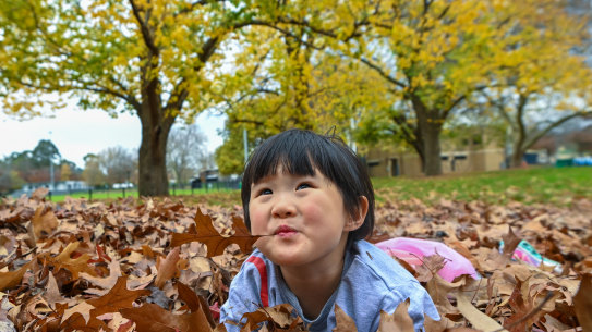 Oriane, 3, at a park in Melbourne park.