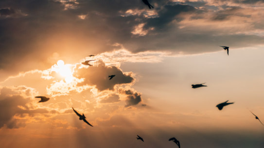 Dr Elizabeth Seeley-Wait: “When you’re in a position where you’re faced with losing your life, it’s usually a big wake-up call.”