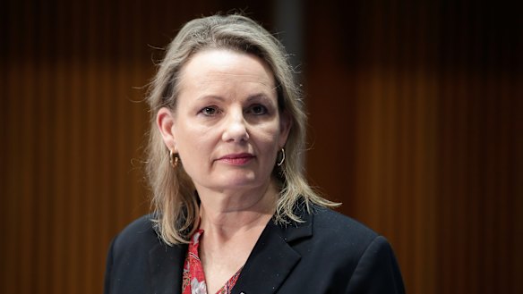 Environment Minister Sussan Ley is staring down a preselection challenge.