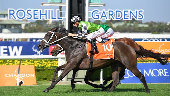 Unusual: Unforgotten is the shortest-priced of Waller's Doncaster runners at the un-Winx like odds of $15.