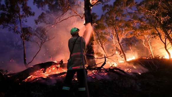 Online misinformation has become a feature of this unprecedented bushfire season.