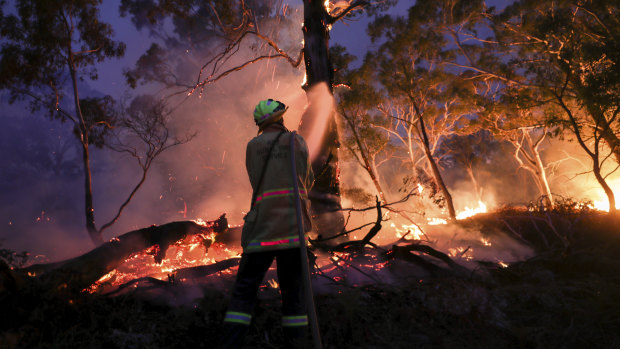 Online misinformation has become a feature of this unprecedented bushfire season.