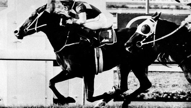 From out wide: Jim Cassidy pilots Rough Habit to win the Stradbroke Handicap in 1992.