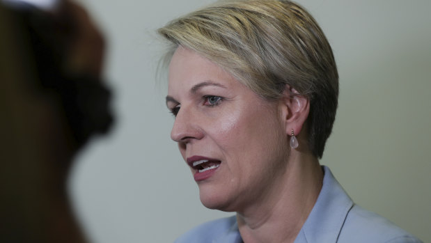 Shadow Minister for Education and Training Tanya Plibersek.