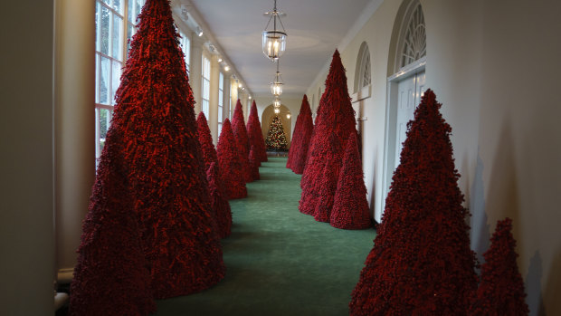Melania Trump's understated topiary trees lining the East colonnade left some people confused.