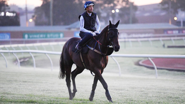 Champion mare Winx, with Hugh Bowman aboard.