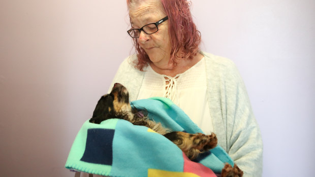 
Sue Wheeler was attacked by an intruder on Sunday night. Her pet chihuahua cross, Buster, was killed by the intruder.