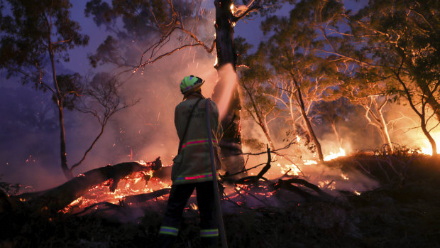 Online fact-checkers confront deluge of bushfire misinformation