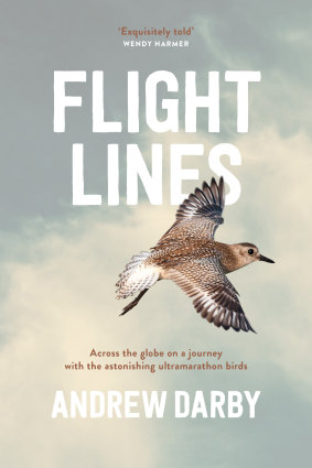 <i>Flight Lines</i> by Andrew Darby.