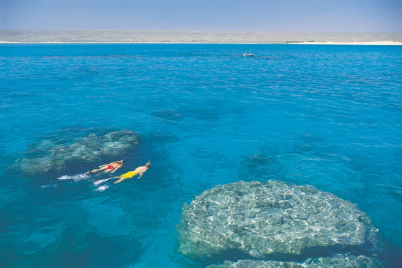 Ningaloo Marine Park off Western Australia. Scientists say much more of the world's oceans need to be protected if we are to preserve our biodiversity.