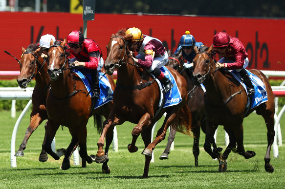 Adam Hyeronimus rides Anode (red and black silks), trained by Gai Waterhouse and Adrian Bott, to third place in the Darley Lonhro Plate at Randwick on Saturday.