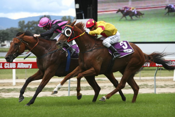 Racing returns to Albury on Monday.