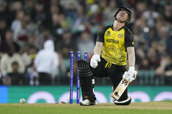 David Warner reacts after he was out bowled against New Zealand at the SCG.