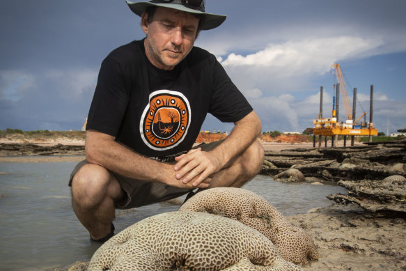 Environs Kimberley acting chief executive Martin Pritchard observing coral bleaching at Entrance Point, near Broome.