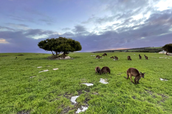 Locals also enjoy the vistas.