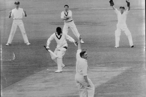 Alan Davidson appeals confidently and Cammie Smith is out lbw in November 1960.