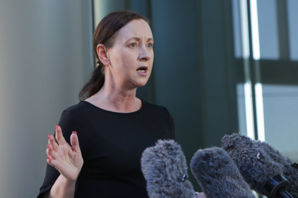 Queensland Health Minister Yvette D’Ath holds a doorstop press conference on Thursday after issues arose with a COVID-19 vaccination incentive scheme involving tickets to NRL finals on the weekend.