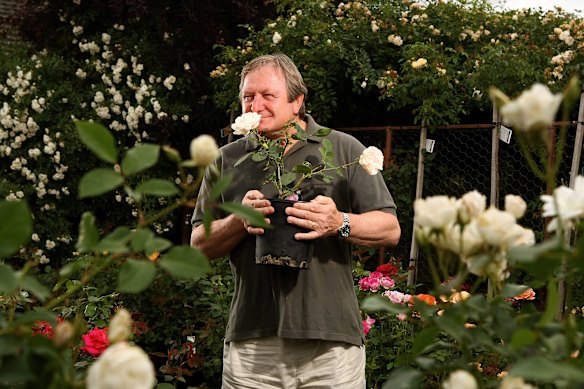Former Essendon coach Kevin Sheedy stops to smell the roses at the Kilmore Rose Cafe.