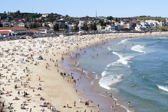 Thousands of people are expected to flock to beaches and parks around Sydney to enjoy a sunny Christmas day.