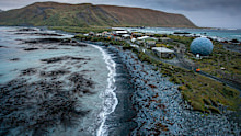 The island is extremely remote, located roughly halfway between Tasmania and Antarctica.