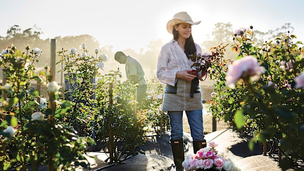 Flower grower Danielle White gives this year a "three out of 10" or maybe a "four".