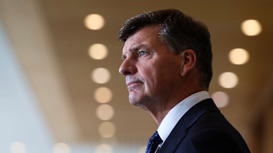 Liberal Leadership contender from central casting: Angus Taylor.