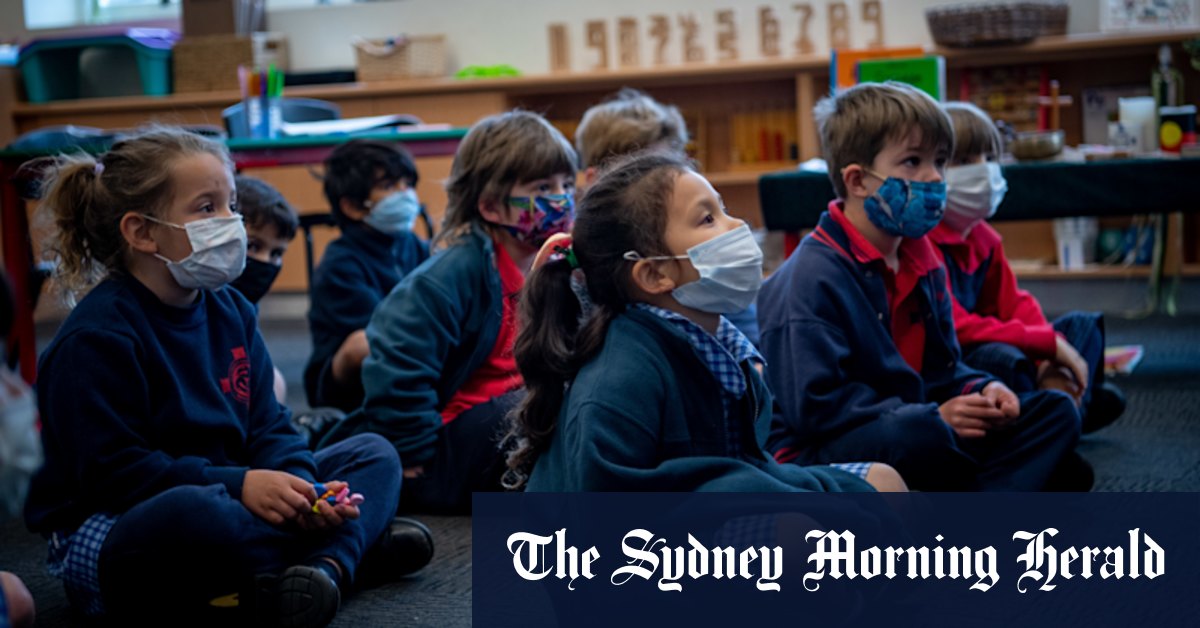 Rapid tests before school to get COVID-exposed kids back in classroom - Vimarsana News