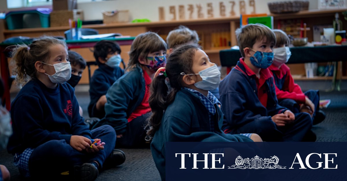 Rapid tests before school to get COVID-exposed kids back in classroom - Vimarsana News