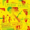 Fiction reviews: Adania Shibli's Minor Detail and three others