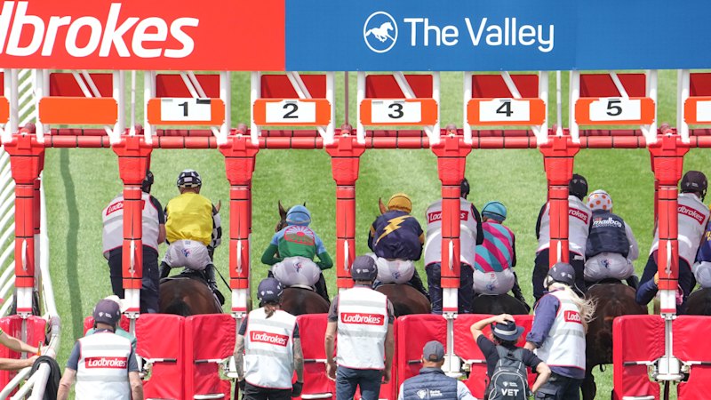 Racing Victoria integrity department under the pump for shortlived appointment of chief vet Dr Glenn Robertson-Smith