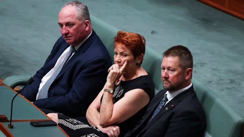 ‘I’ve got nothing to hide’: One Nation senator with $75m tie to Snowy Hydro 2.0 denies constitutional breach