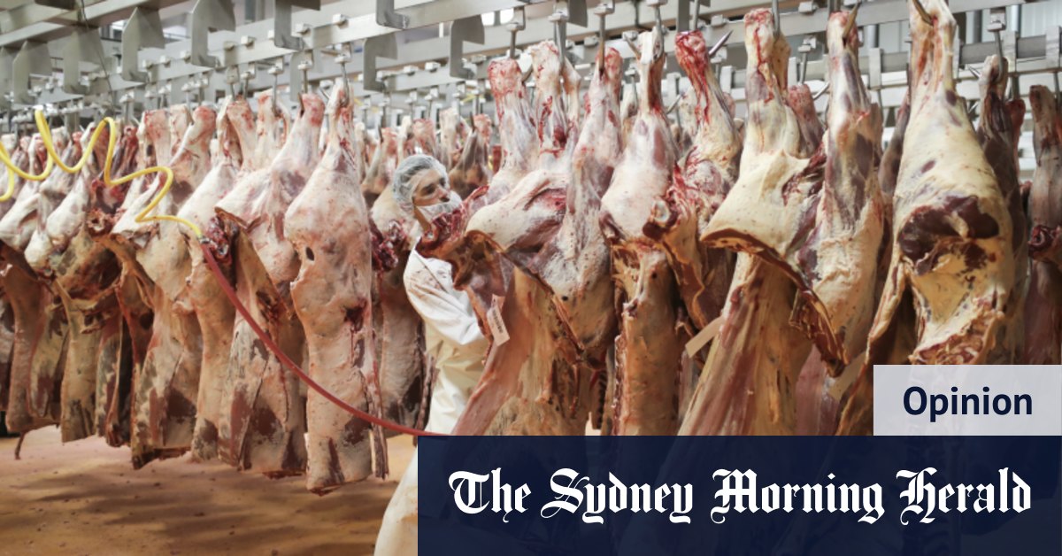 Meat giant JBS' cyber woes lay bare a dangerous reality - Vimarsana News