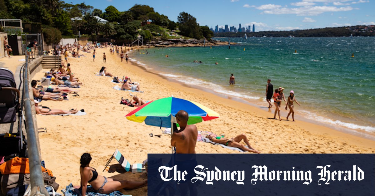 Sydney Harbour swimming: Elite suburb to lose reserved parking to allow visitors access to beach - Vimarsana News