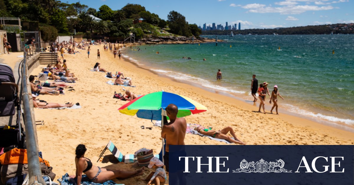 Elite suburb to lose reserved parking to allow visitors access to beach