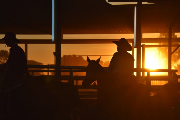 The daylight savings debate in Queensland has been geographically divided, with the No vote strongest in the north and west and the south-east in favour.
