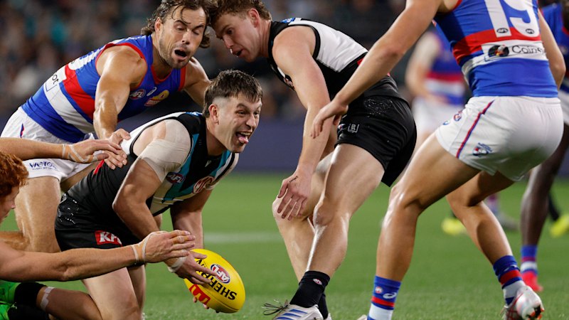 ‘It would be an honour’: Emerging Dogs star opens up on the potential of Butters heading to the Kennel