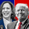 Kamala Harris’ new election chant? Make America Nice Again