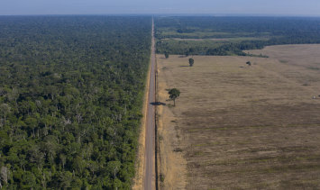 A highway stretching between the Tapajos National Forest, left, and a soy field in Belterra, Para state, Brazil. 