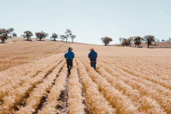 EThe government’s Emissions Reduction Fund offers farmers payments of $17 a tonne for soil carbon sequestration.