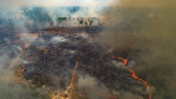 Fire consumes land recently deforested by cattle farmers near Novo Progresso, Para state, Brazil.