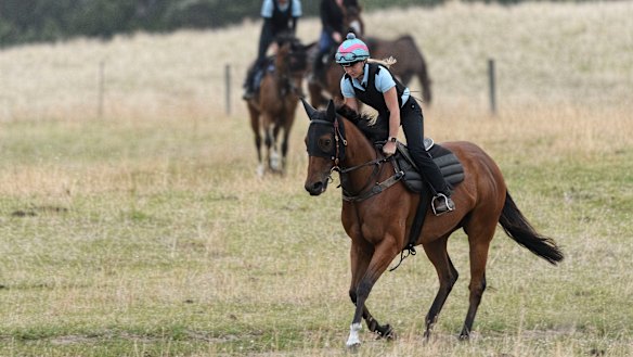 Georgia Johnson riding Marabi during trackwork in the lead-up to the group 1 Oakleigh Plate.