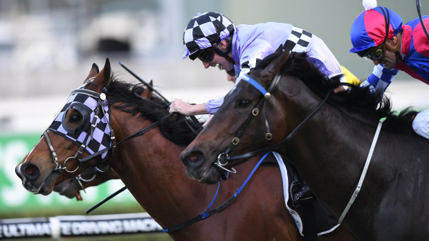 Isorich will embark on his 114th career start at Randwick on Saturday.